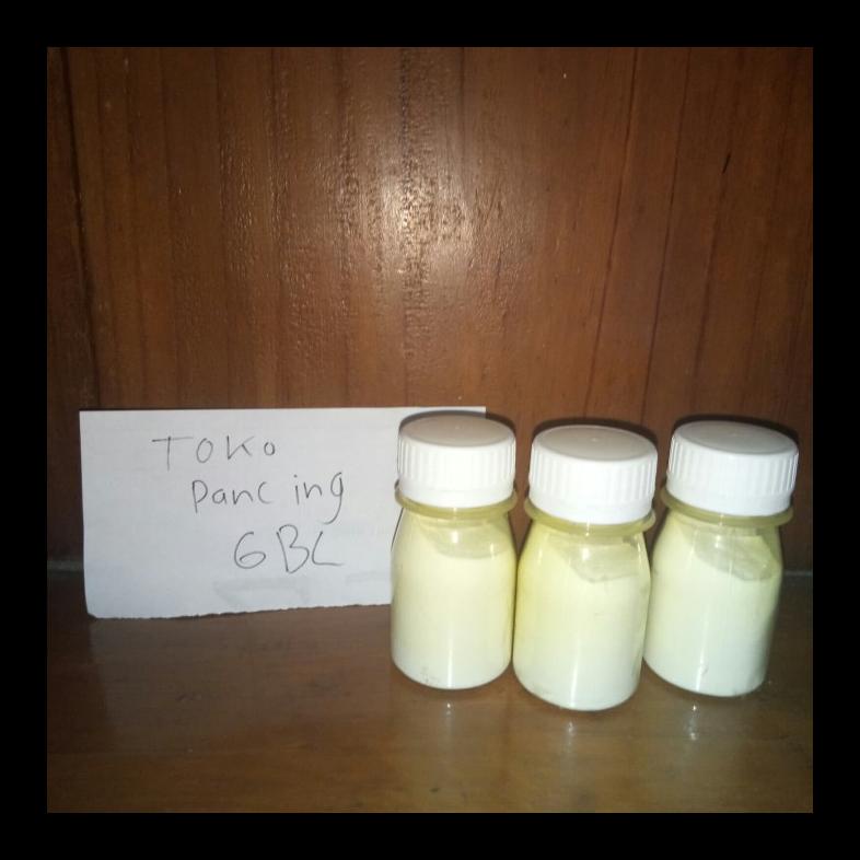 STOK BARU BIANG SUSU PRANCIS ALAT PANCING AL1