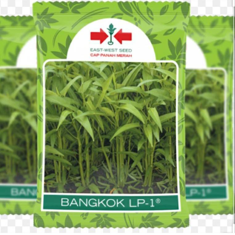 

GROSIR_JAKARTA KANGKUNG BANGKOK LP-1 1KG