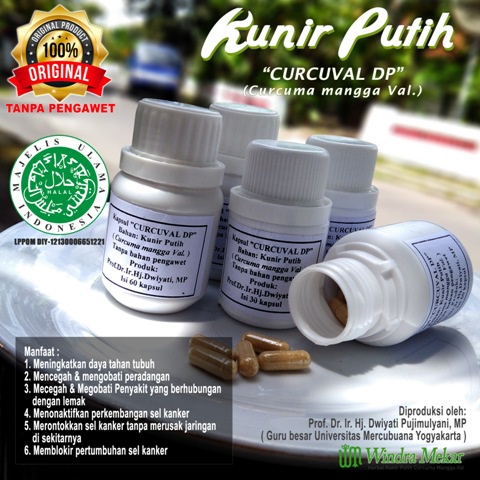 Kunir Putih Windra Mekar Prof. Dwiyati | 60 kapsul