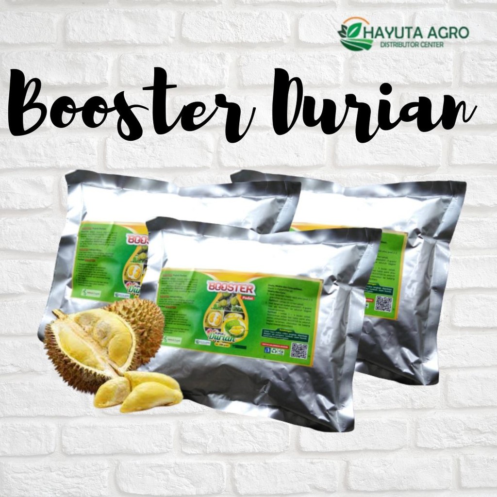 Pupuk Durian Cepat Berbuah, Booster Durian Berbuah Lebat, Nutrisi Pohon Durian Bunga Tidak Rontok