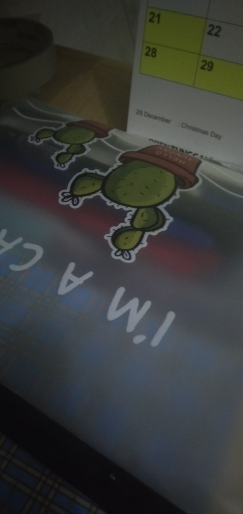 Zipper Bag Kaktus / Ziplock Motif Kaktus / Tempat Pensil / Pouch Serbaguna / Pouch Kosmetik