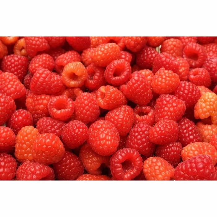 

Buah | Frozen Raspberry/Raspberry Beku 1 Kg Import Iqf