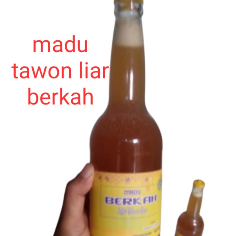 

madu sialang, madu tawon liar