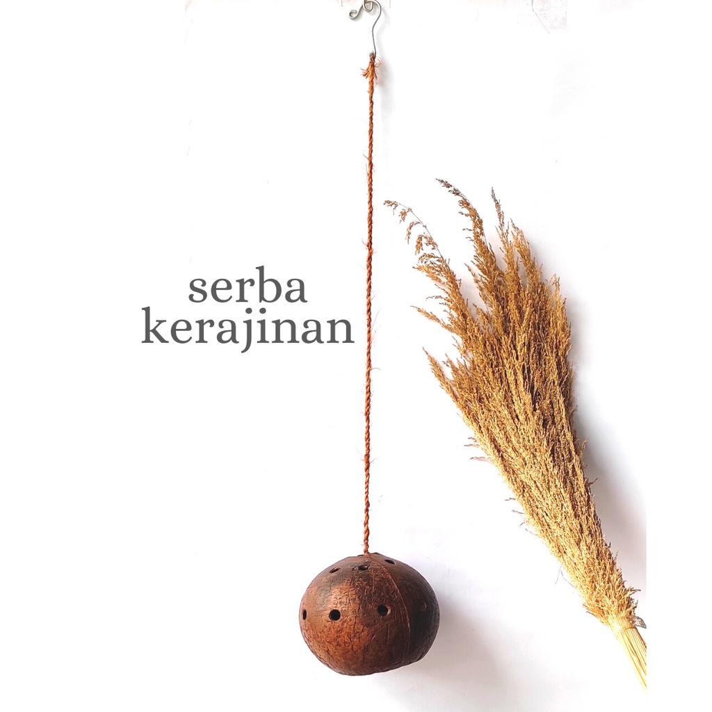 POT TANAMAN JANGGUT MUSA / POT JANGGUT MUSA / POT DEWA MENJALAR BAWAH