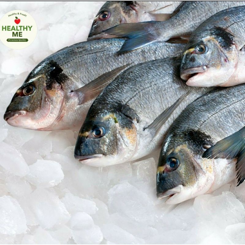 IKAN GURAMI SEGAR 1 KG KIRIM H+1