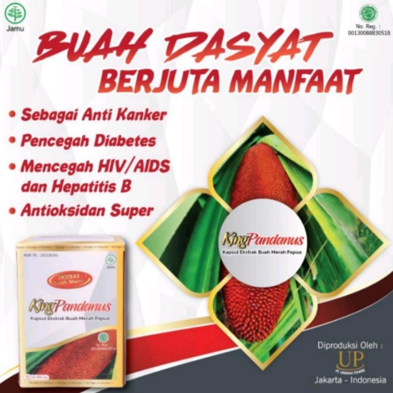 

King Pandanus Kapsul Ekstrak Buah Merah Dahsyat Berjuta Manfaat ORIGINAL & BPOM