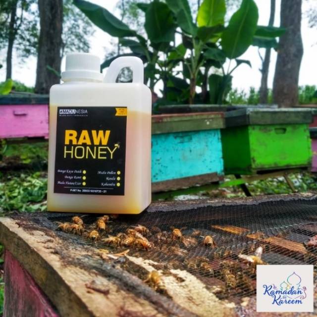 

Madu Budidaya KALIANDRA/Raw Honey lebah/tawon ternak asli murni