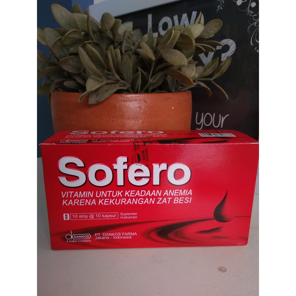 Sofero vitamin anemia zat besi multivitamin