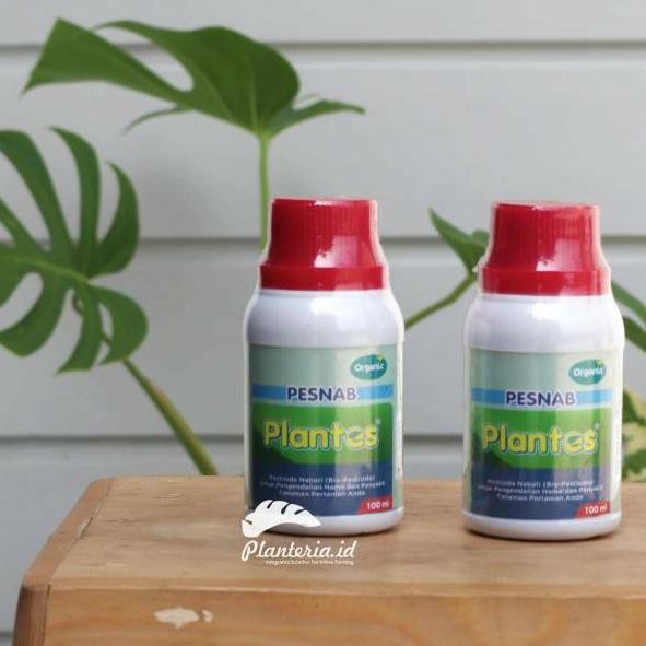 HOT Pestisida organik PLANTES untuk menghilangkan ulat kutu tanaman