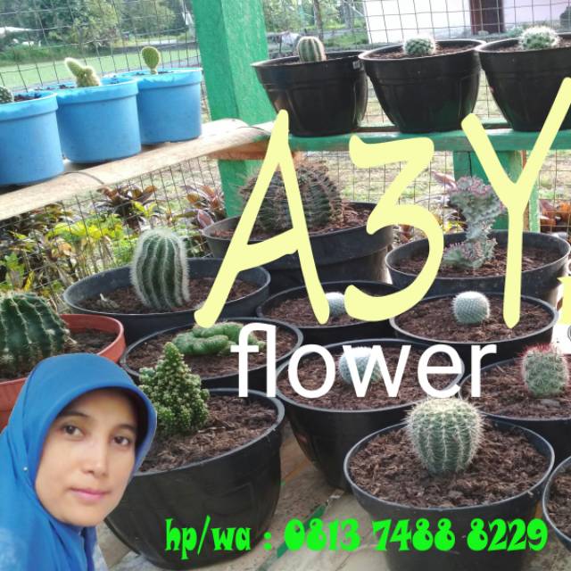 yusra229