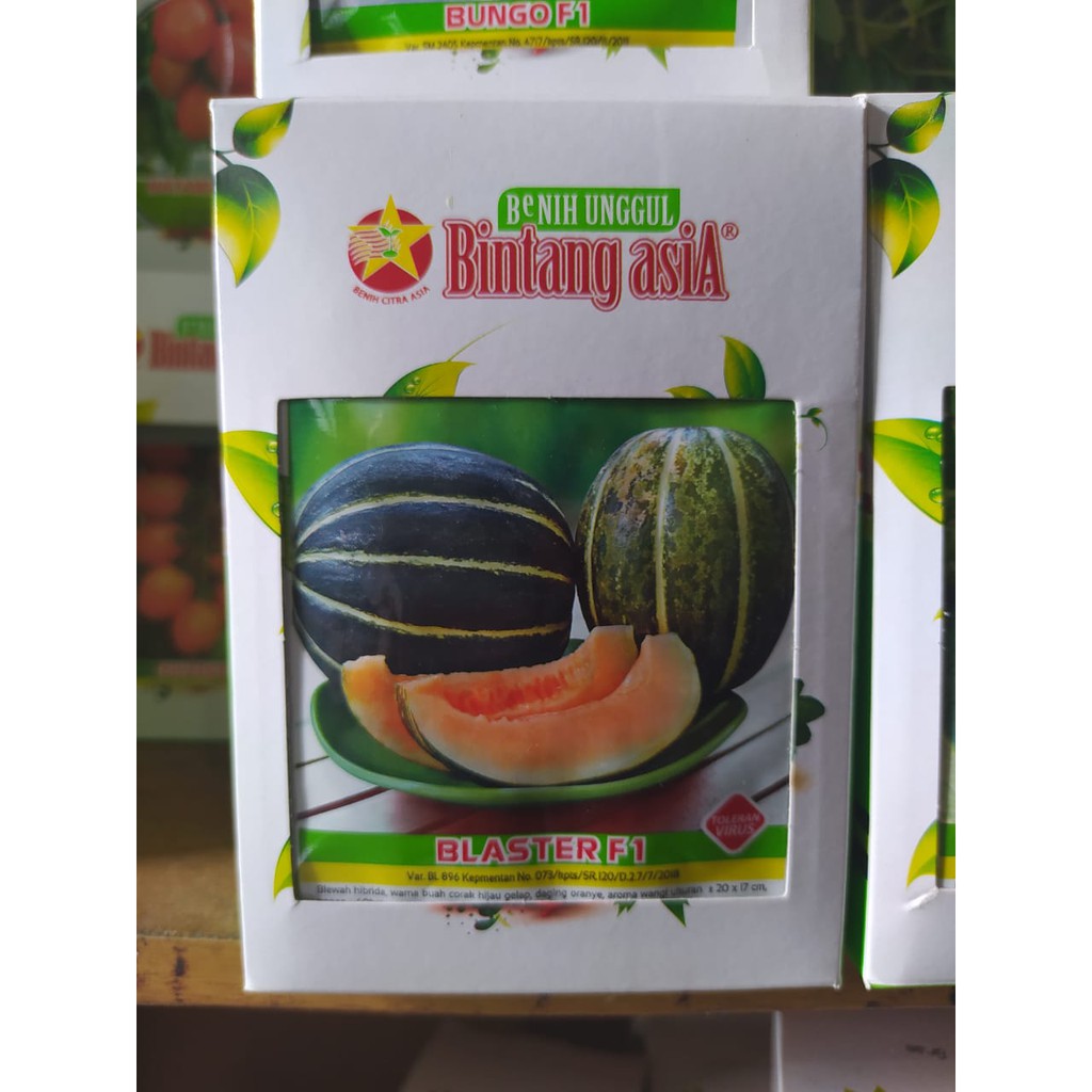 Blaster F1 (Benih Blewah Hibrida) Small Pouch