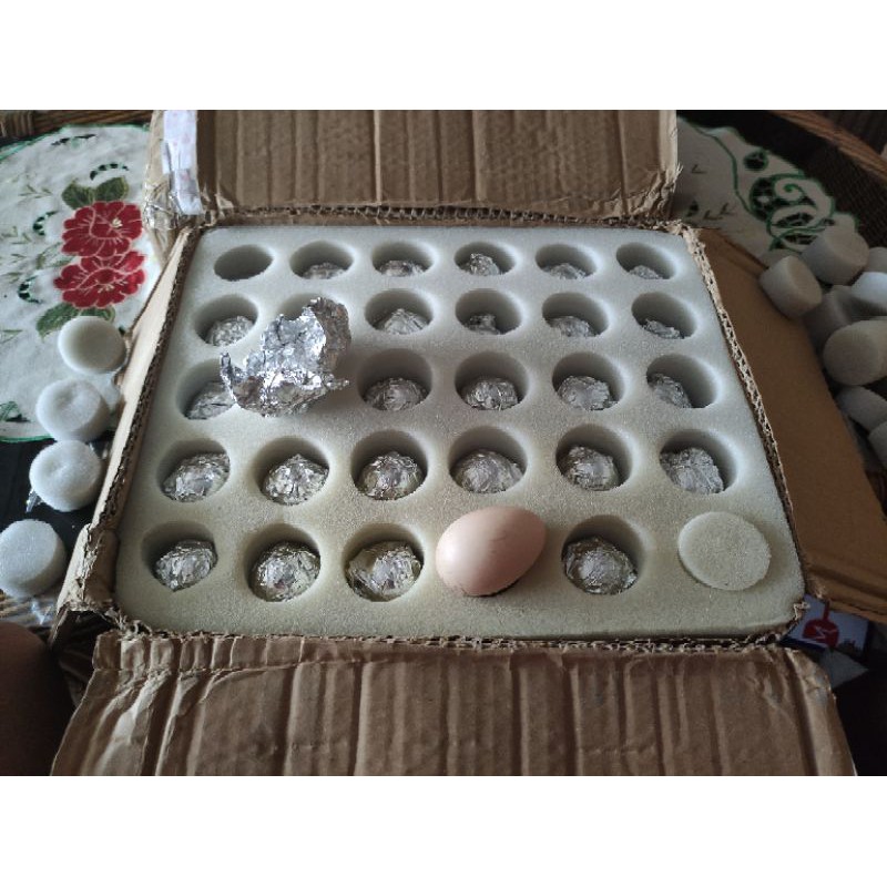 

telur ayam hias