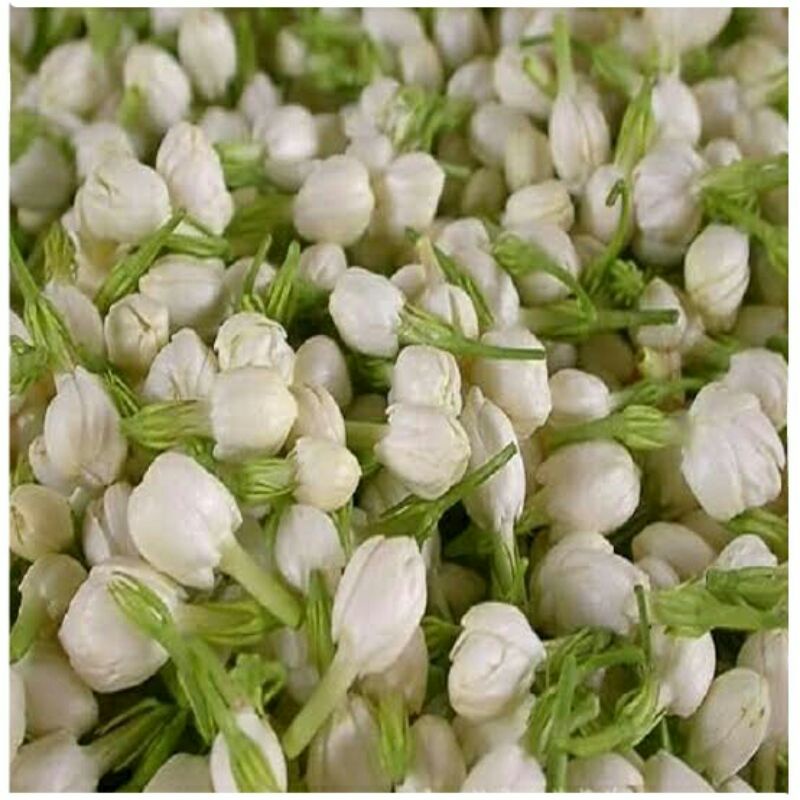 bunga melati 250 gram ( beli 1 gratis 1 ) flower jasmine fresh