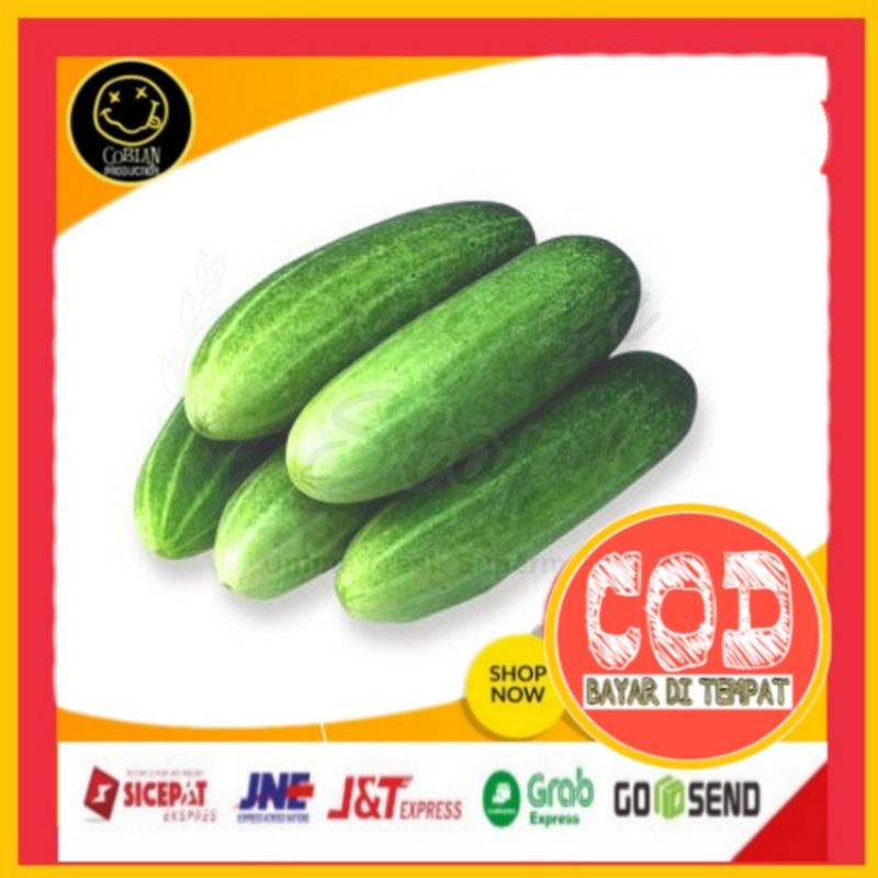 

Mentimun Timun 500g Sayuran Segar Sayuran Fresh Sayuran Organik Sayuran Online Sayuran Terlaris