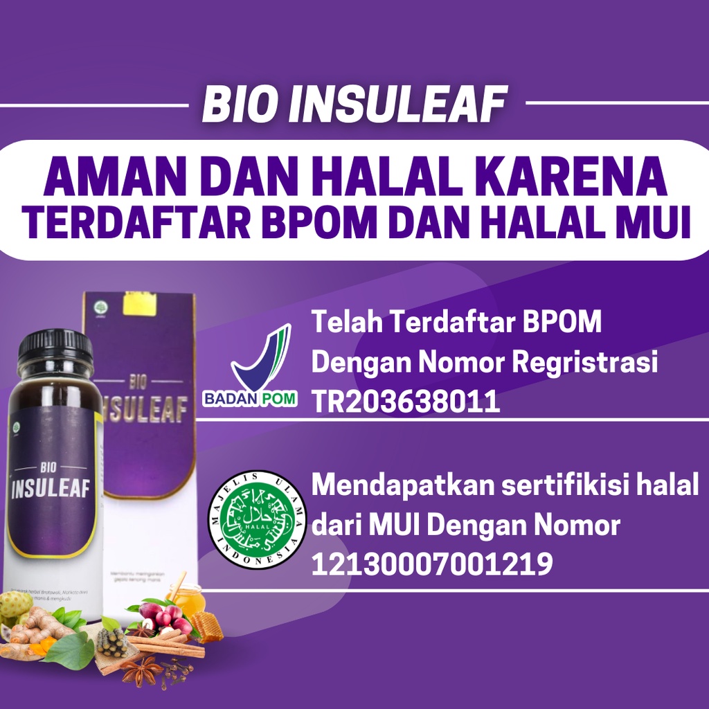 PAKET 1 BIO INSULEAF Herbal Alami Turunkan Gula Darah - Ringankan Gejala Kencing Manis | Solusi Atasi Gula Darah Tinggi 250ml