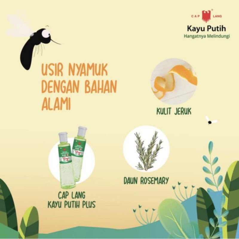 CAP LANG MINYAK KAYU PUTIH PLUS 120 ML 60 ML ORIGINAL