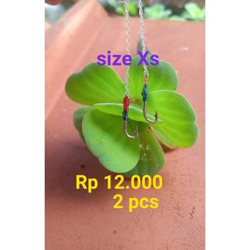 TERLARIS PANCINGAN UREK BELUT 2 pcs SIZE Xs SUPER KUAT