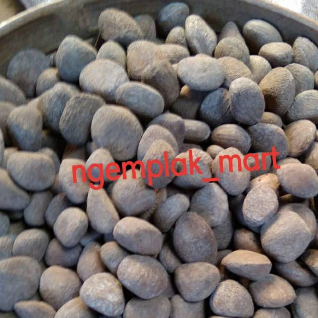 

Kluwak 250 gram kluwek pucung kepayang klewek brongkos bumbu rawon