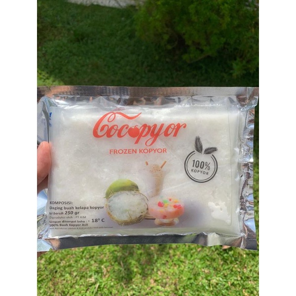 

Cocopyor Frozen ( kelapa kopyor asli)