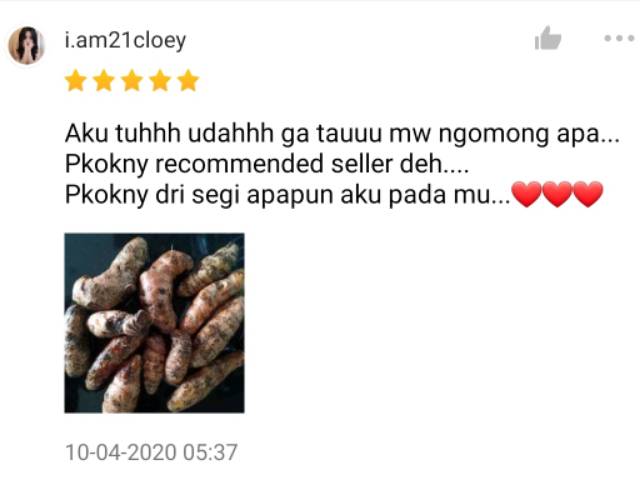 KIRIM INSTAN Kunyit Segar 200gr