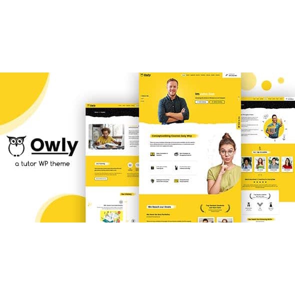 Owly - Tutoring & eLearning WP Theme