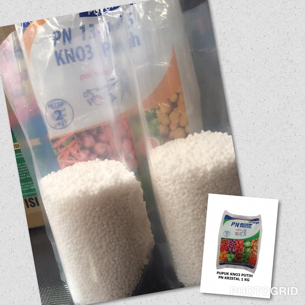 PN Kristal ( Potasium Nitrat ) KNO3 Putih Repacking 500 gram