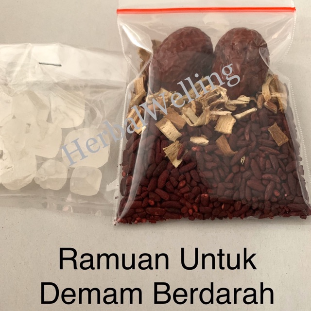 

ANGKAK Ramuan rebusan untuk DBD trombosit
