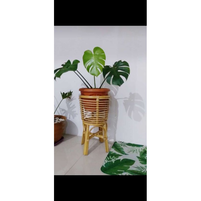 standing pot rotan | vas rotan | cover pot rotan asli