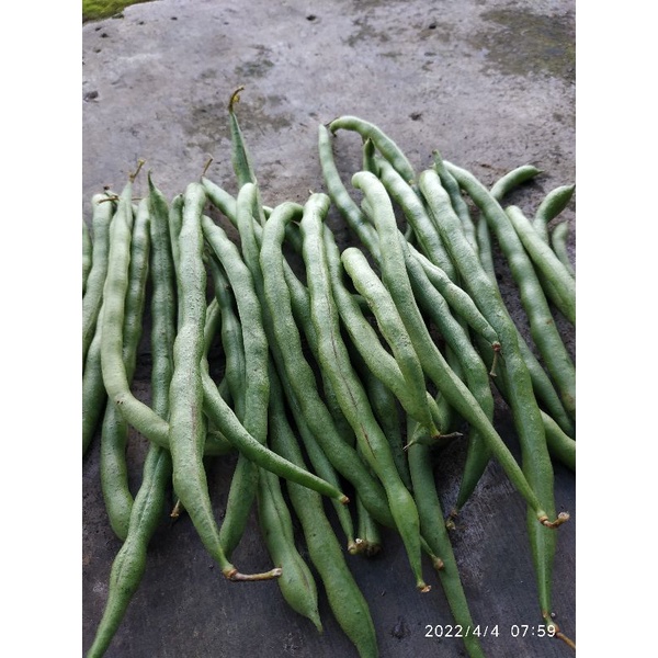 

sayur buncis/ 500gr