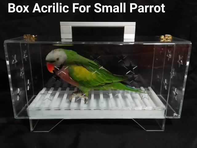 Box Travel Acrilic Burung Parrot Double Shopee Indonesia