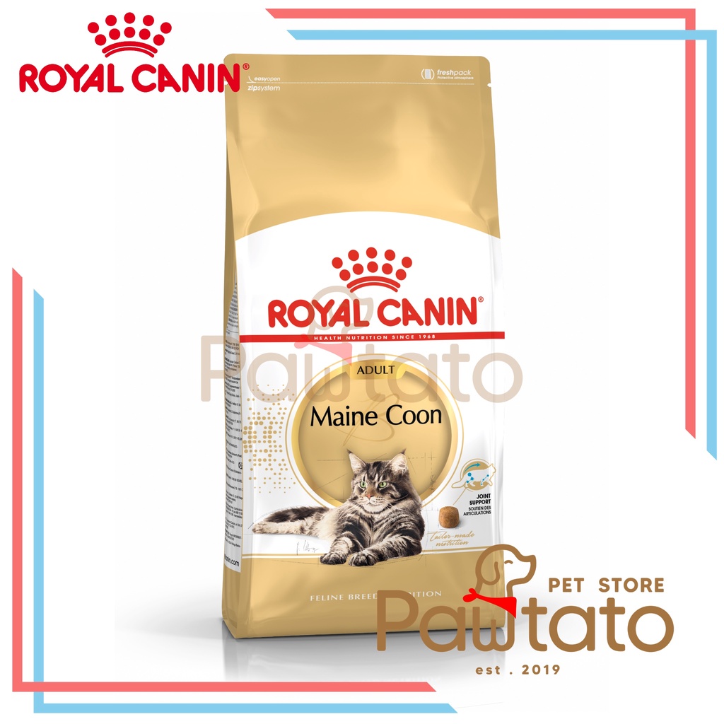 Makanan Kucing Royal Canin Maine Coon 2KG Taurine Vitamin Sendi Adult Cat Food Pawtato Pet Store