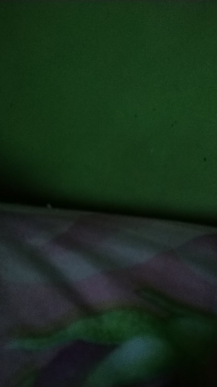 Botol Minum Karakter Big Bear 500ml - Botol Air 500ml - Palapa