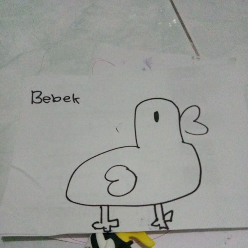 

gambar bebek hitam putih