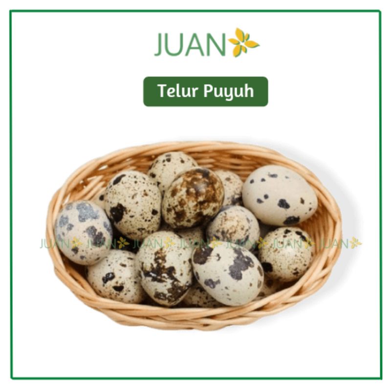 

Telur Puyuh 10 Butir - Juan Freshmart