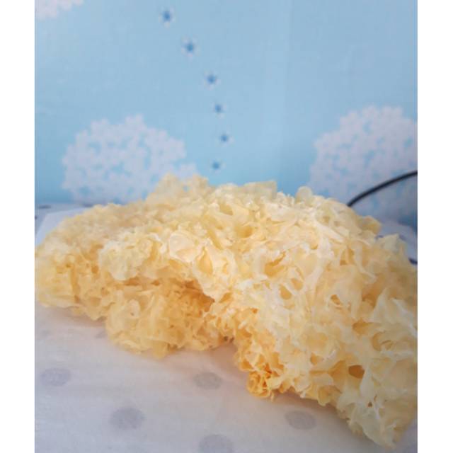 

Jamur Kuping Putih / Pek Bokni 100 g