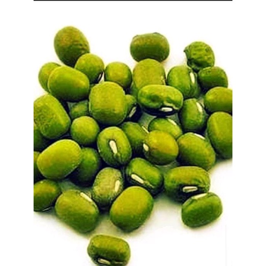 

kacang hijau