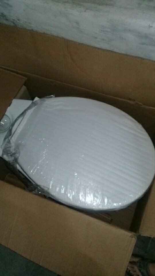 Closet Duduk Import Jarak As 25 Cm Dual Flush