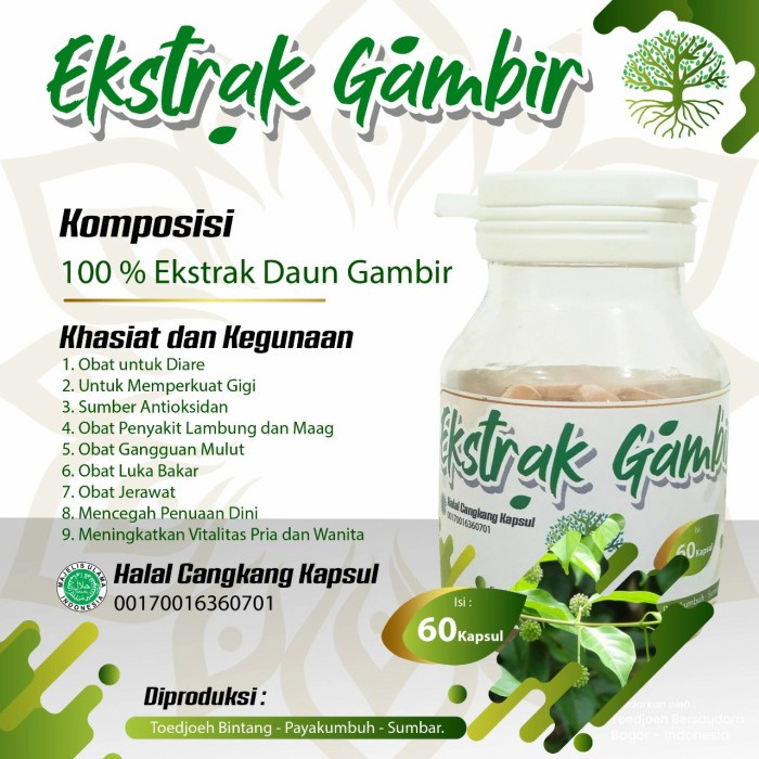 OBAT HERBAL KAPSUL GAMBIR TERMURAH