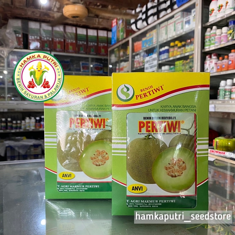 Melon Hibrida PERTIWI ANVI