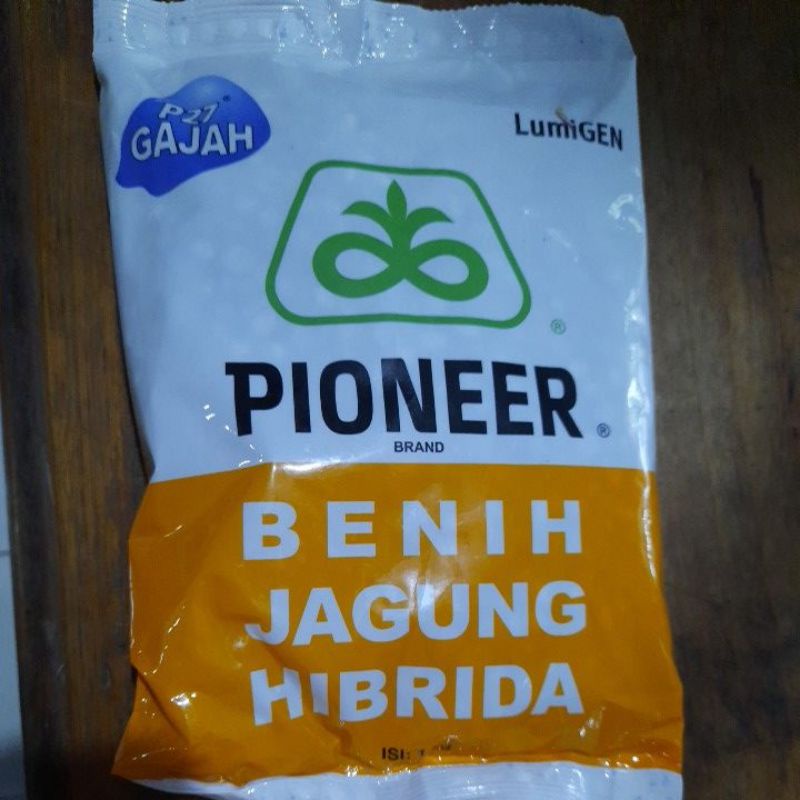 Benih jagung hibrida Pioneer P27 lumigen