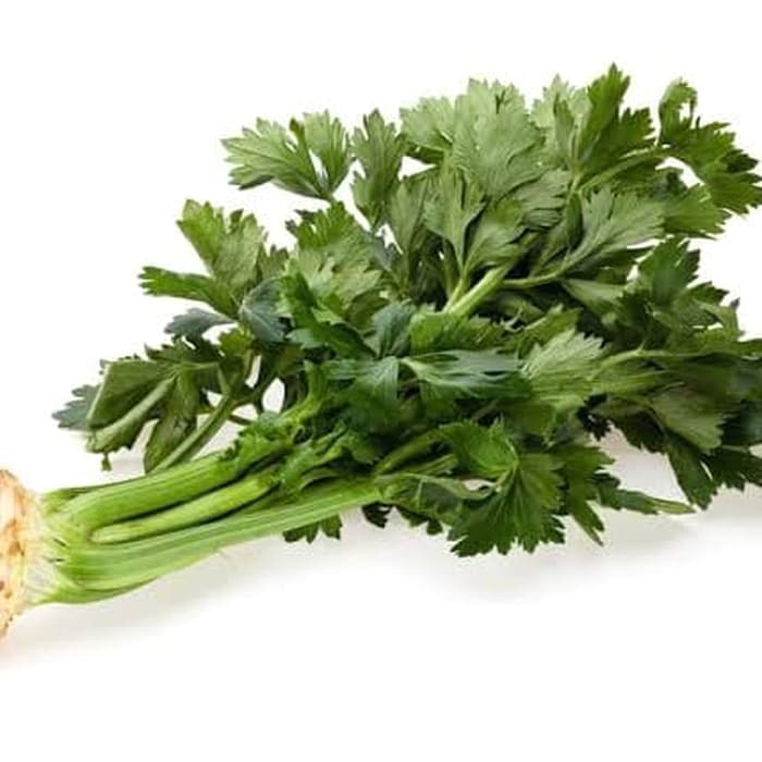 

daun sop/daun seledri