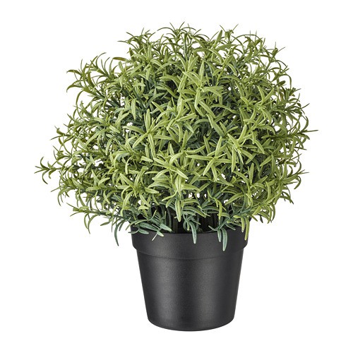 FEJKA Tanaman tiruan dalam pot Rosemary