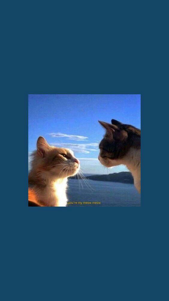 Pollybag Ukuran 20x20/eceran Pollybag Murah