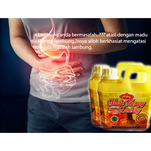 

Paket 2 Jerigen Madu Therapy Lambung Al-Bany ( Herbal atasi masalah lambung )