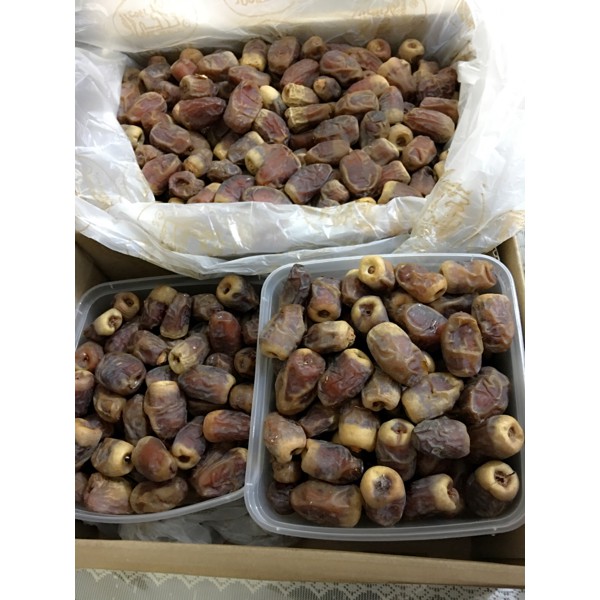 

kurma Sagai kurma susu Asi booster Diskon