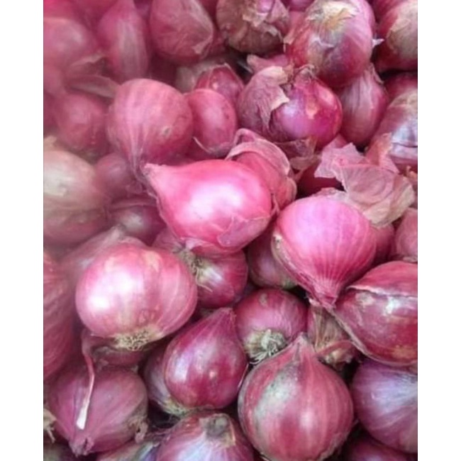 

Bawang Merah Tanggung Gede 1 Kg