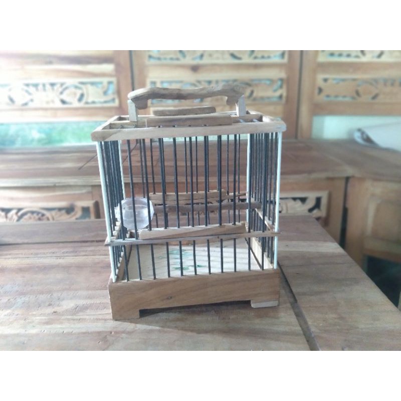 sangkar untulan pleci