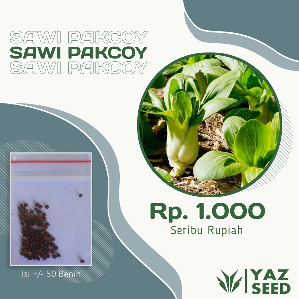 BIBIT BENIH SAYURAN TANAMAN TAMAN SAWI PAKCOY SAYUR