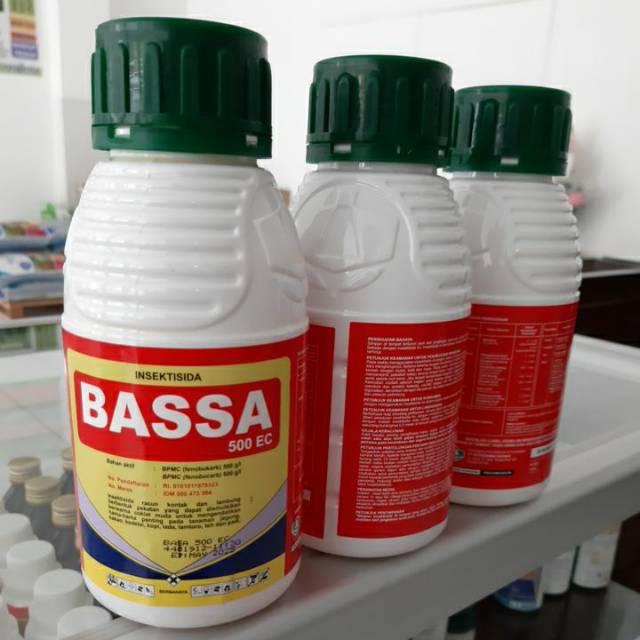 Jual Bassa 500EC 400ml Insektisida Kontak Obat Pencegah Dan Pembasmi ...