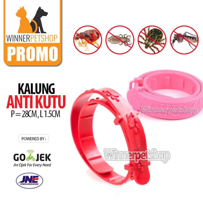 Kalung Anti Kutu / Collar Anti Kutu // Kalung Kucing Anti Kutu